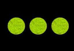 Triple Yellow Dot